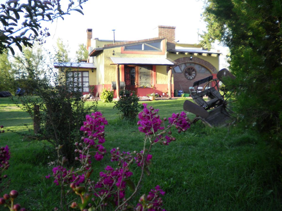 Posada De Campo Mamull Mapu Rancul Εξωτερικό φωτογραφία